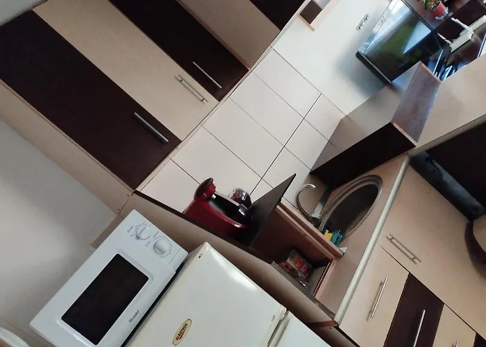 Simo&dani * Timişoara